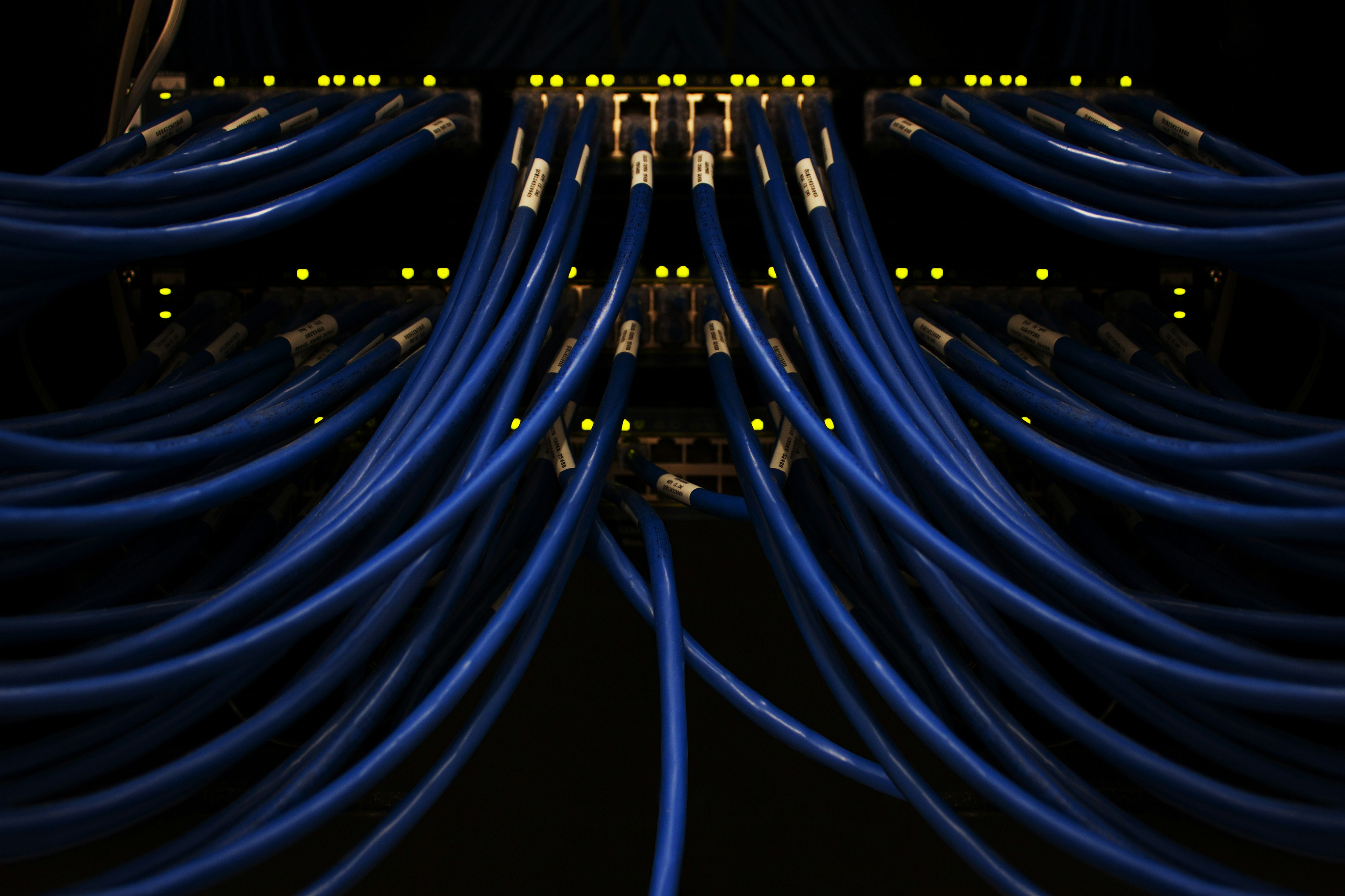 Blue network cables connected to a server switch